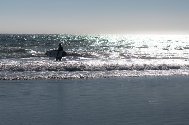 Venice beach